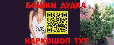 apvp Канаш