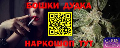 apvp Канаш