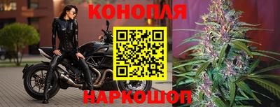 apvp Канаш