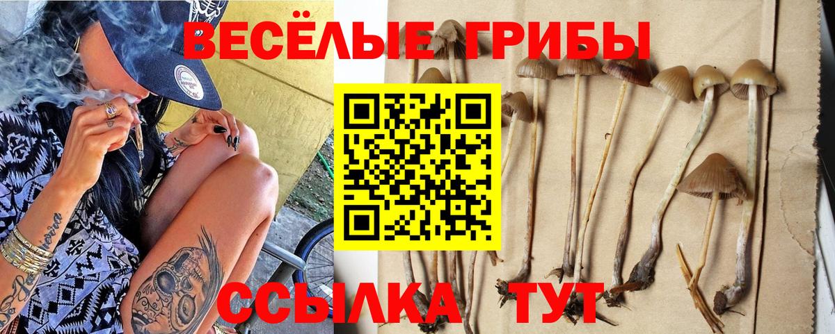 Михайловка  Галлюциногенные грибы Magic Shrooms  Вход с VPN 